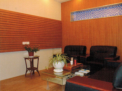 案例展示